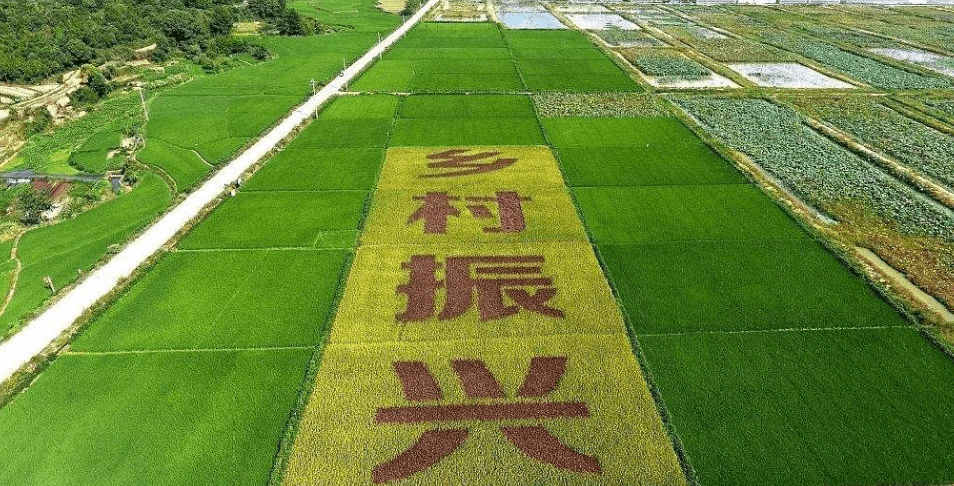 人民日報“鄉(xiāng)村振興計劃”為何看上他？_直播_行業(yè)_農(nóng)產(chǎn)品